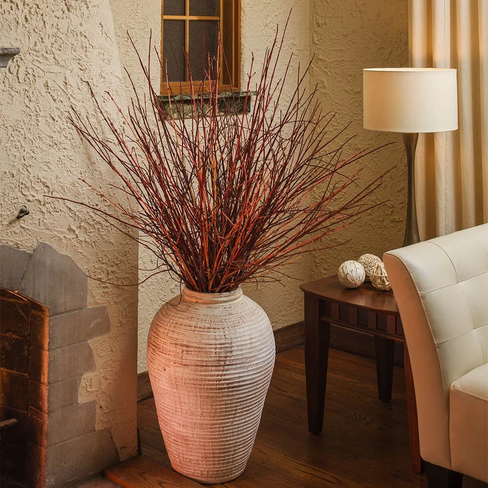 Arctic Fire® Red Twig Dogwood - Image 5