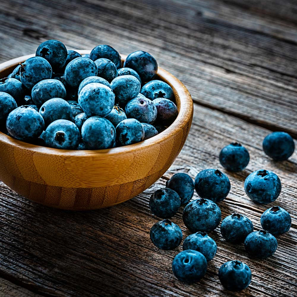 Aurora Blueberry Bush - USDA Organic - Image 5