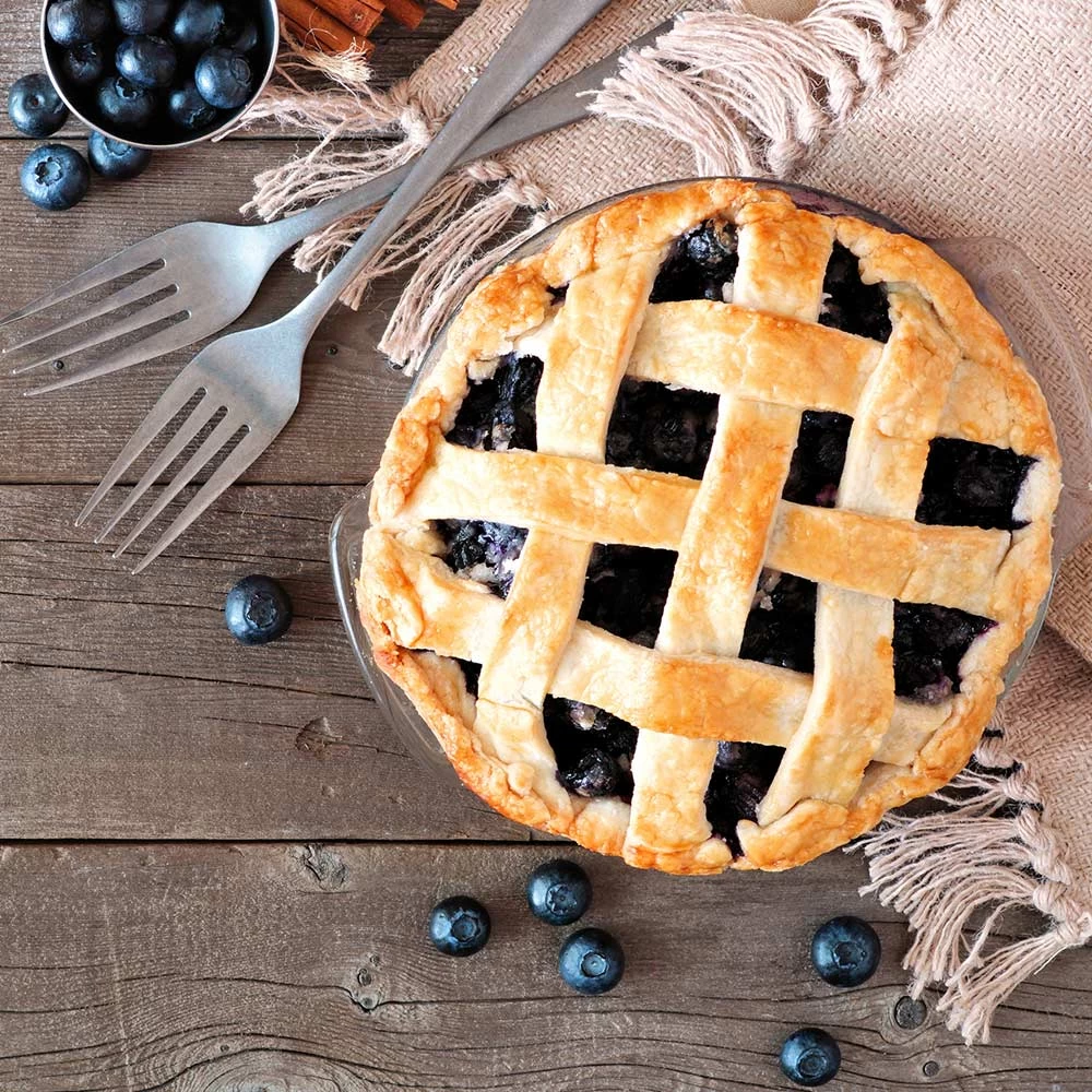 Aurora Blueberry Bush - Image 6