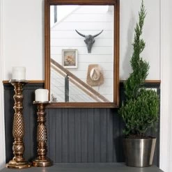 Blue Point Spiral Juniper Gift Plant