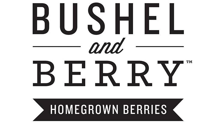 Bushel And Berry® Blueberry Glaze™ Blueberry Bush - Image 3