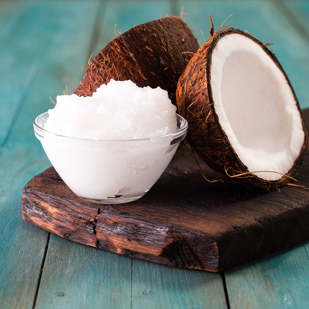 Coconut Palm Tree - Image 6