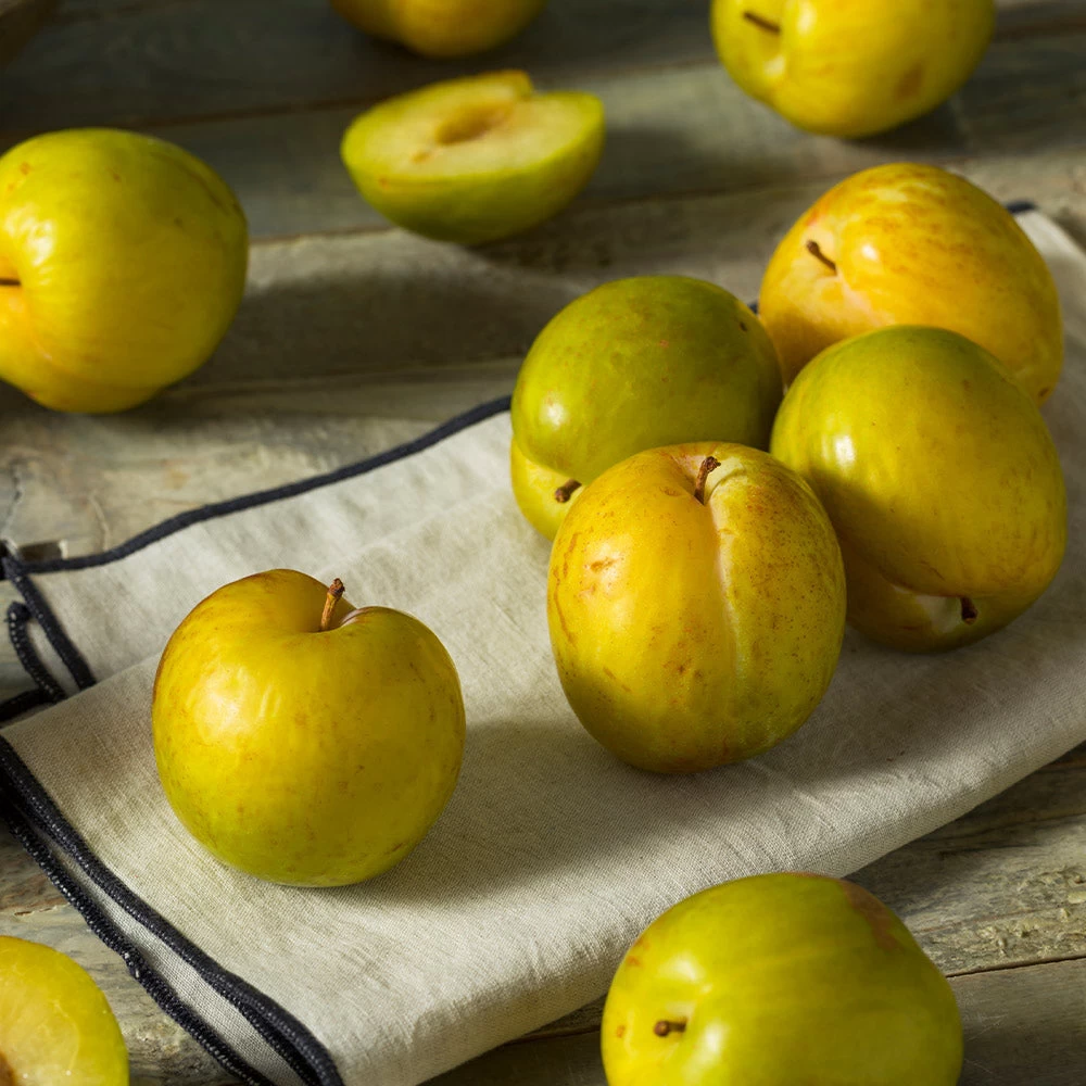 Flavor Queen Pluot® - Image 2