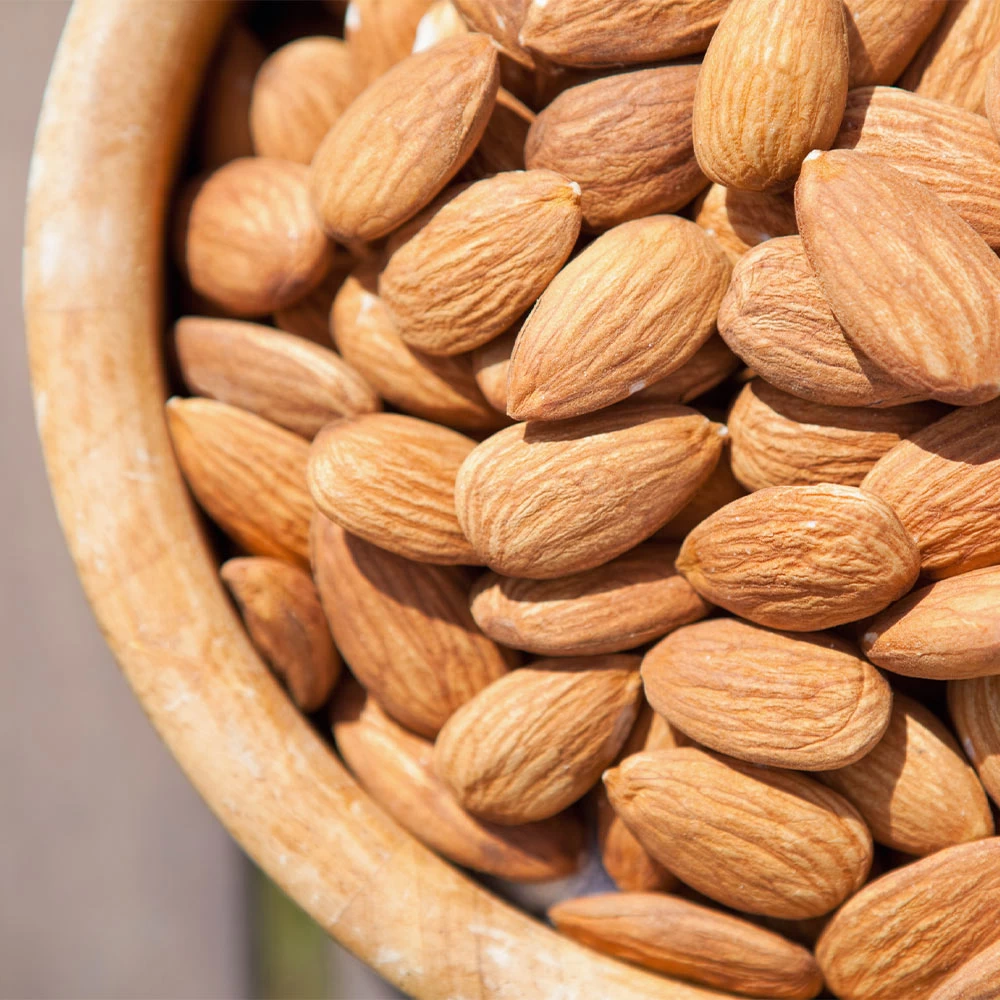 Nonpareil Almond Tree - Image 5