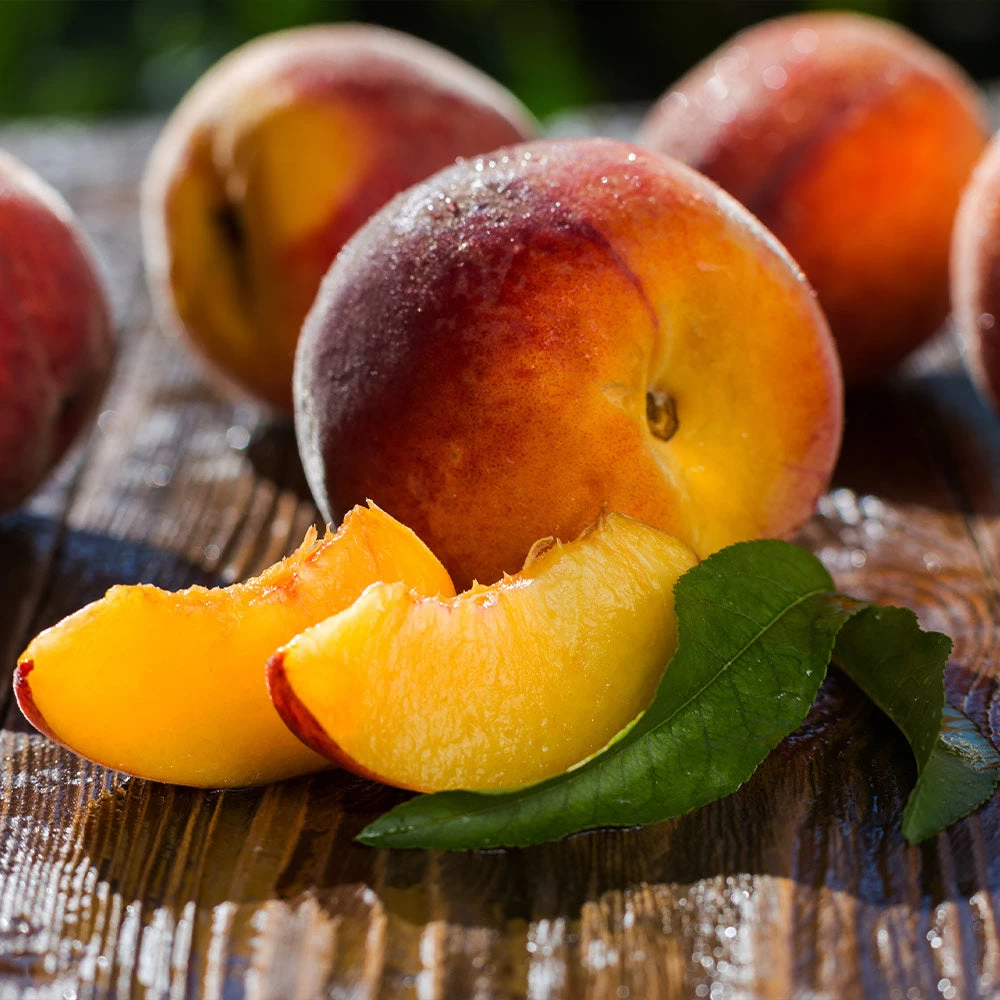 Red Baron Peach Tree - Image 5